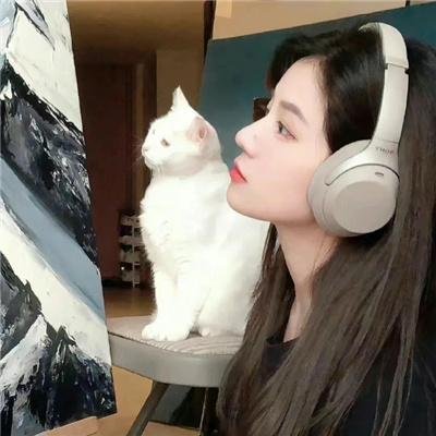 春满夏威夷